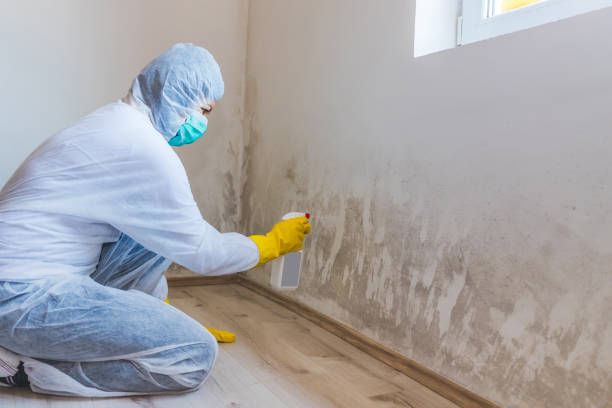 Crawl Space Mold Remediation treatment of floor joists in Bloomfield